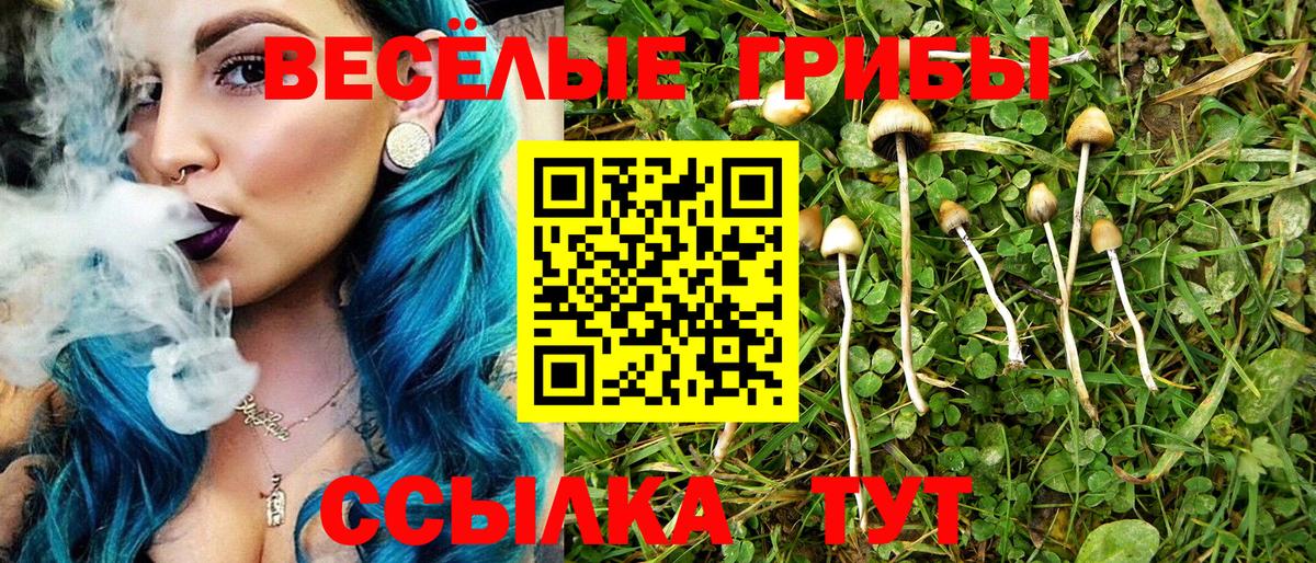Галлюциногенные грибы GOLDEN TEACHER  Вход с VPN  Галлюциногенные грибы Psilocybine cubensis  Мелеуз 