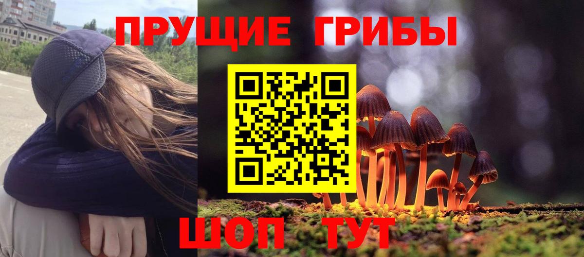 Псилоцибиновые грибы прущие грибы Мелеуз